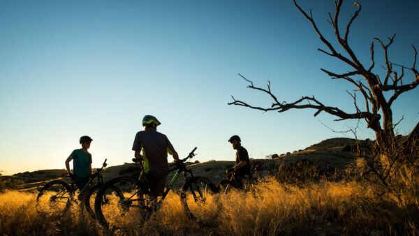 Save on the Trek Summer Sale