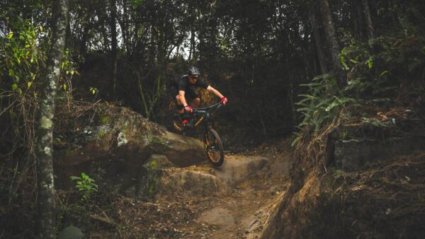 Finding the point: Identifying the main suspension designs (Part 2)
