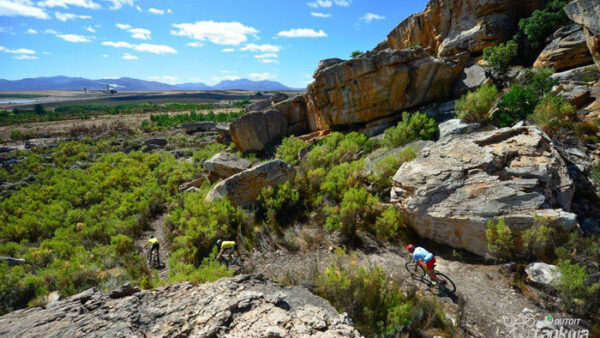 Bulls charge to stage and overall Tankwa Trek victory
