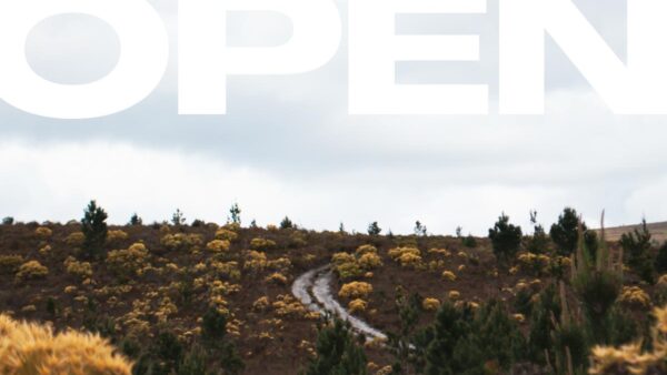 Join the hunt at the Stanford 100 Miler