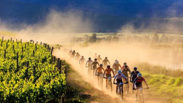 Wines2Whales Chardonnay: Life lessons at the bottom of the barrel