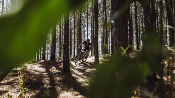 2023 Cape Pioneer Trek Route Announced