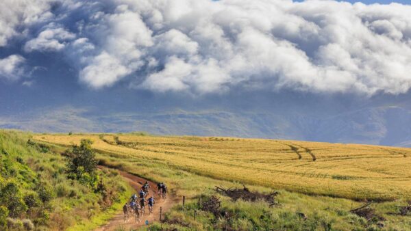 Celebrate Valentines GEES with FNB Wines2Whales