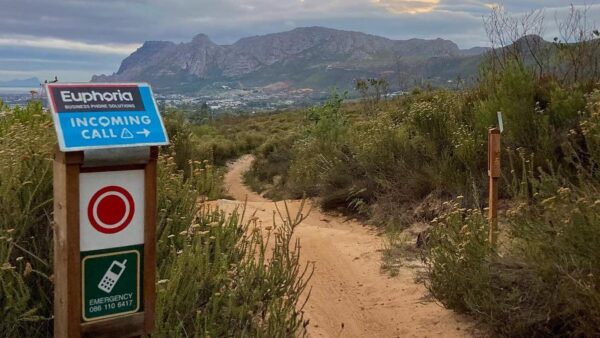 Take your business to the max with Euphoria Telecom