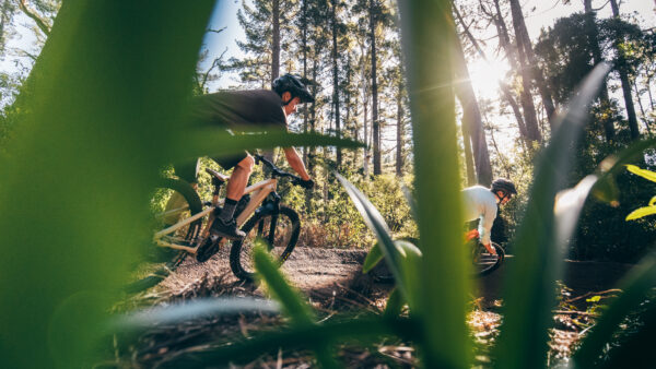 Trail Daze 2.0 | Constantia Greenbelts