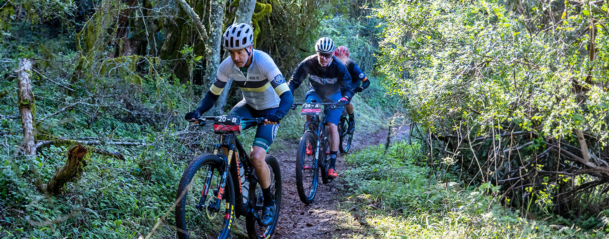 The Ultimate South African Mountain Bike Experience Bike Hub