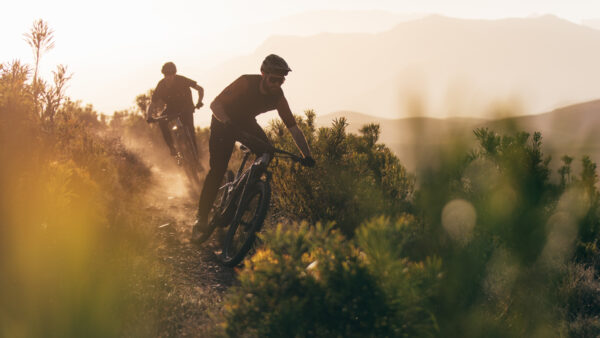 Trail Daze 2.0 | Greyton