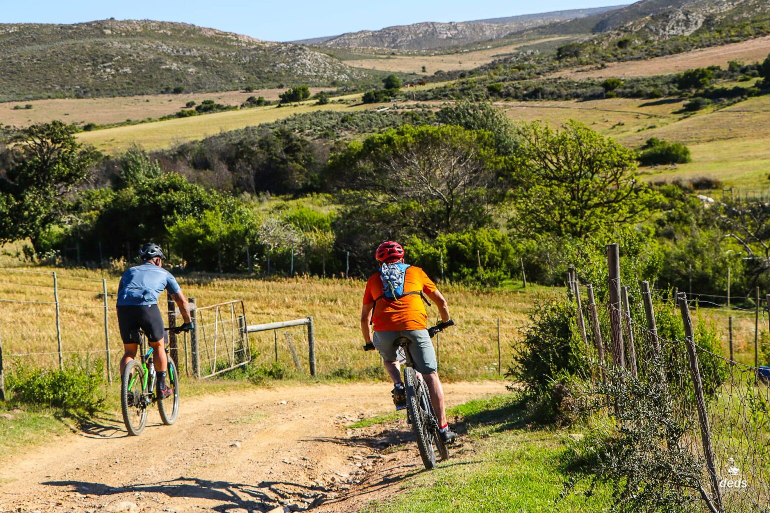 Conquer the Finovo Jakkalberry Extreme Gravel/MTB Race Bike Hub