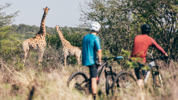 Trail Daze 2.0 | Summerplace Game Reserve