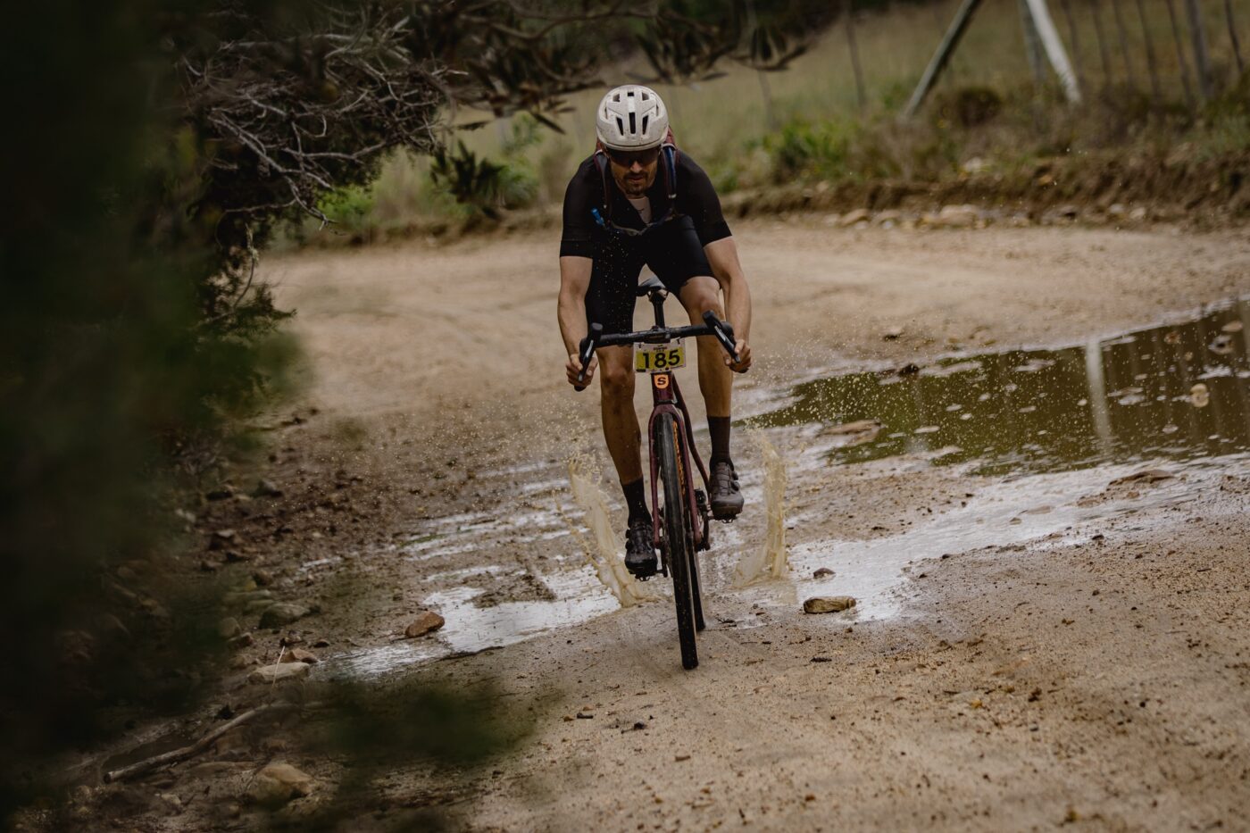 @maxsulliphoto Stanford100 2023 183