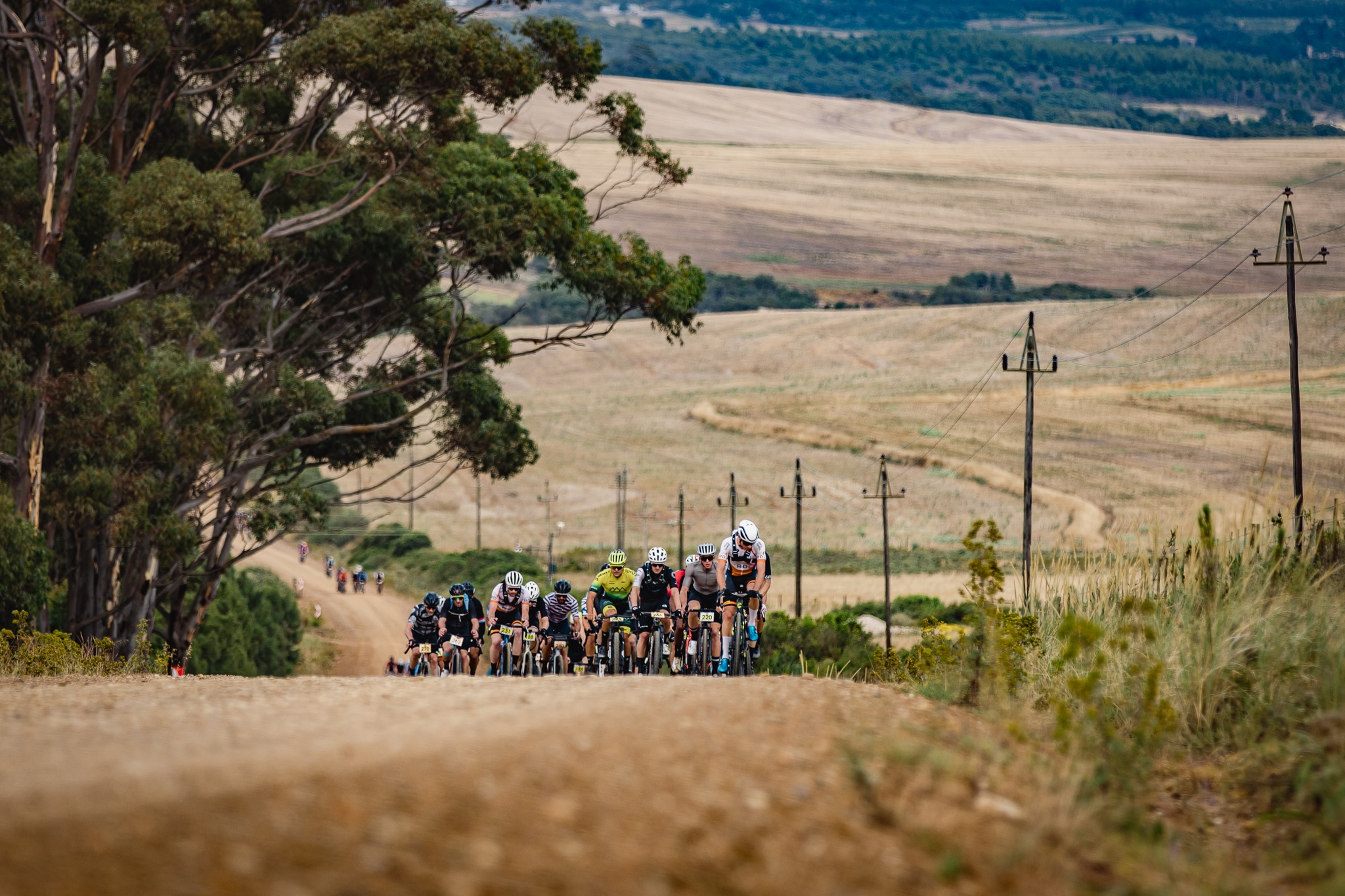 @maxsulliphoto Stanford100 2023 399