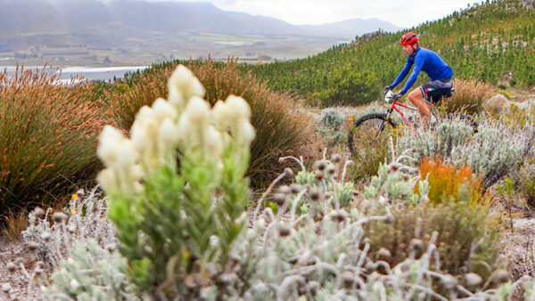 Bikes2Blossoms: a Mid-Summer Singletrack Experience