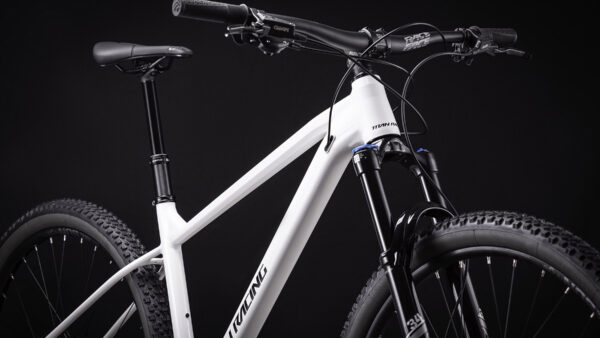 The Titan Racing Cerberus puts the fun back in hardtails
