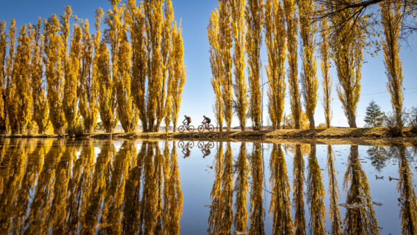 Share the love this Valentine’s. Ride with your partner*