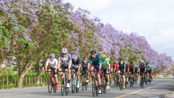 Cape Classic 380: a road must-do