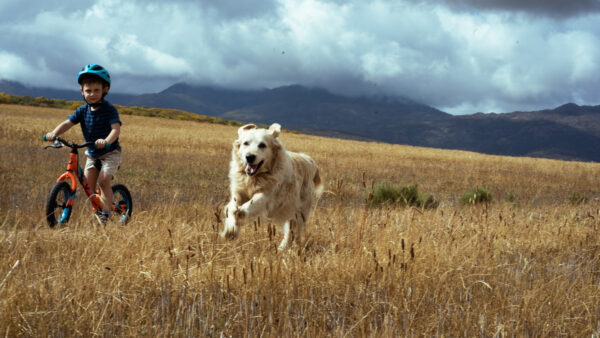 Introducing Stettyn Family Vineyards MTB and Trail Run Routes