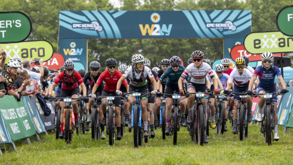 Chardonnay Field Shines ahead of FNB Wines2Whales