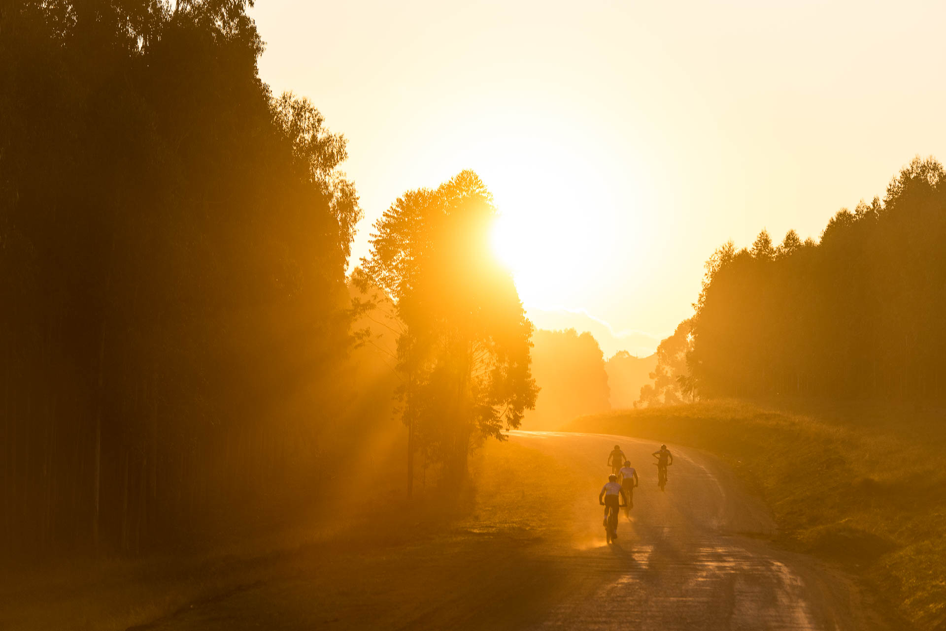 Sani2C2024Day2 24