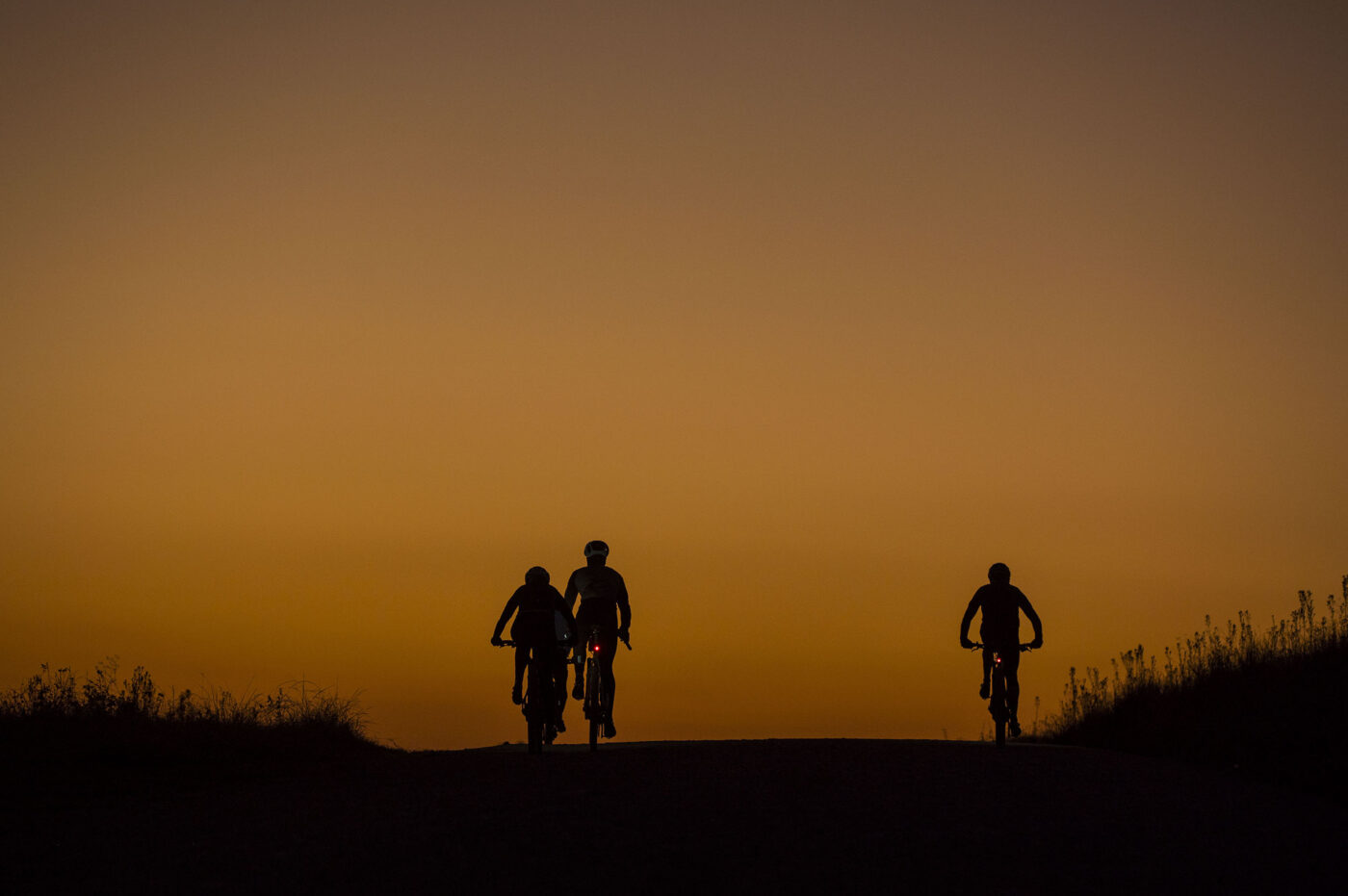 4 NonStopSani2C2024 121