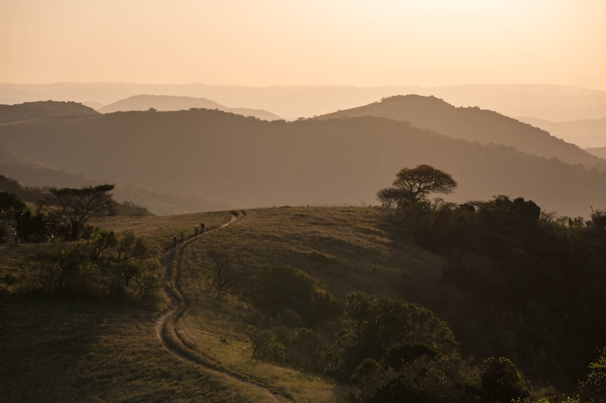 7 NonStopSani2c2025 439