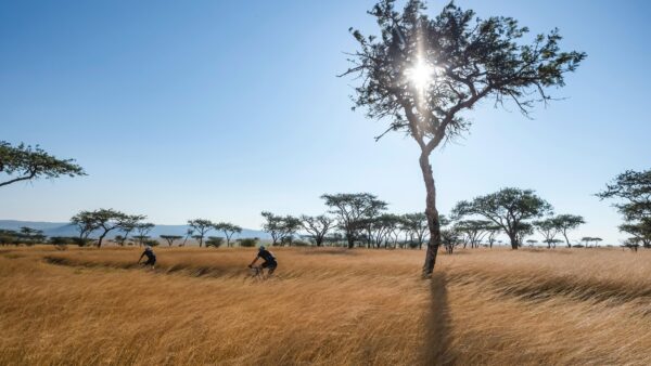 The Berg & Bush Descent: Sunshine, Singletrack, and Stage Race Magic