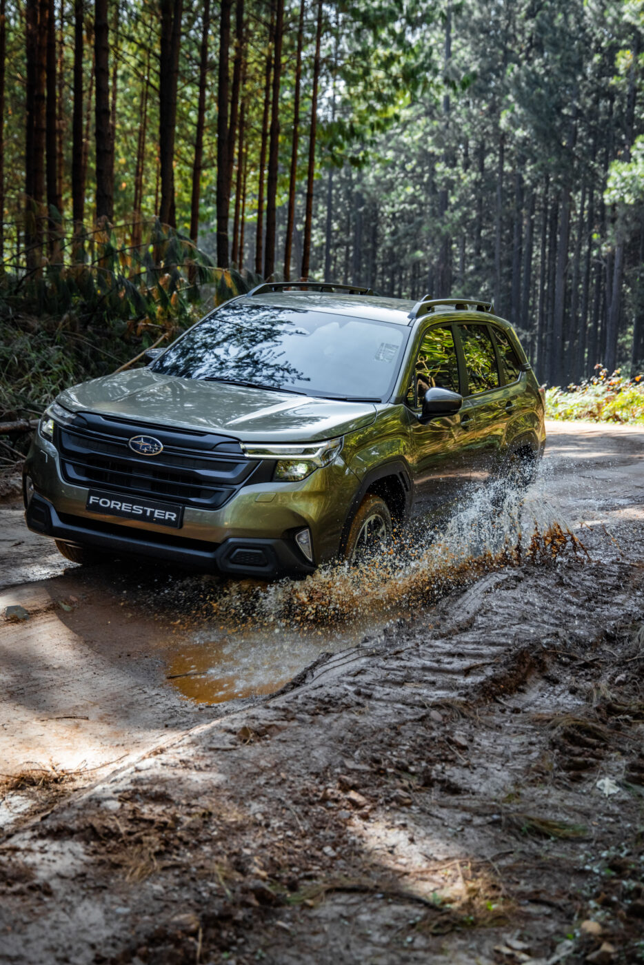 SUB FORESTER25 LR 6